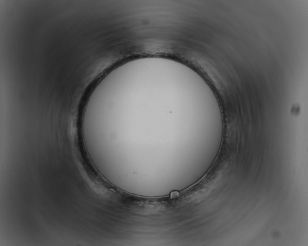 X0000102850443200809021405