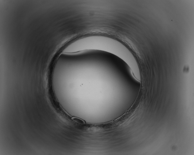 X0000102850444200809021405