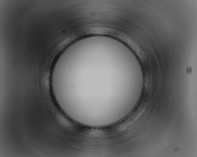 X0000102850445200809021405