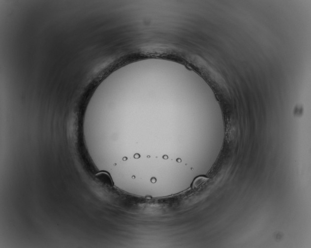 X0000102850448200809021405