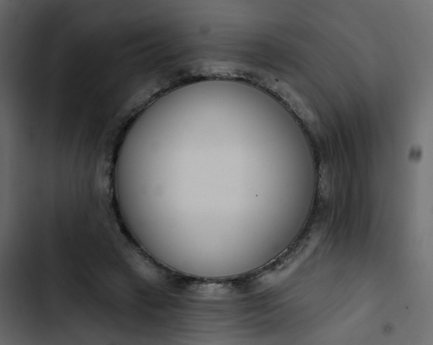 X0000102850449200809021405