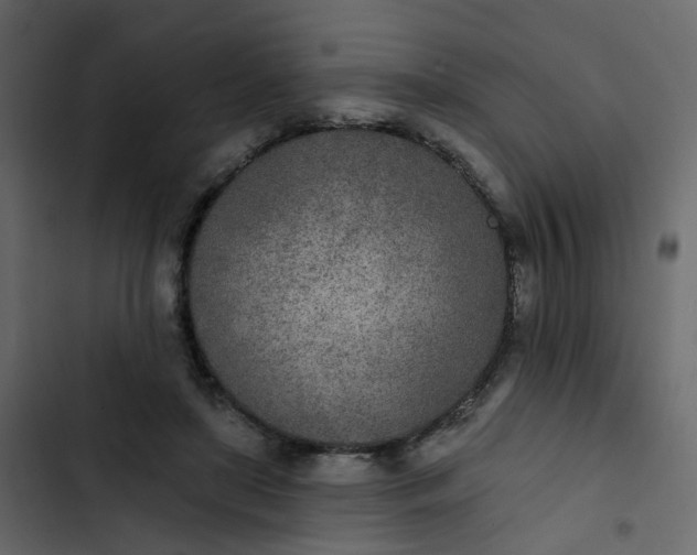 X0000102850451200809021405