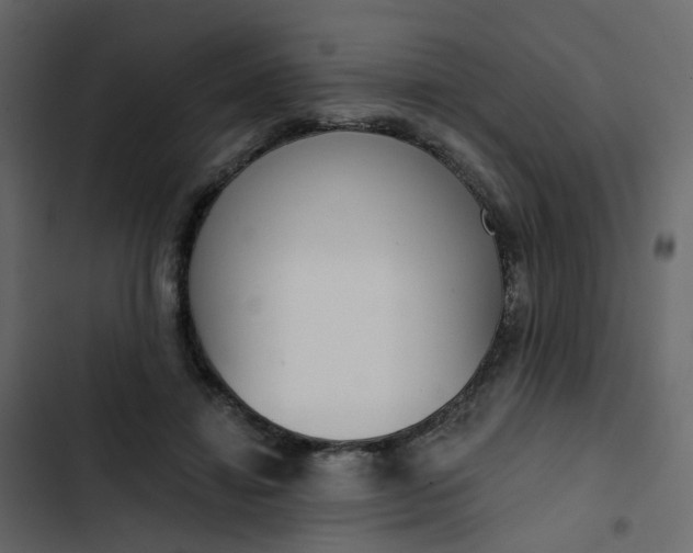 X0000102850452200809021405