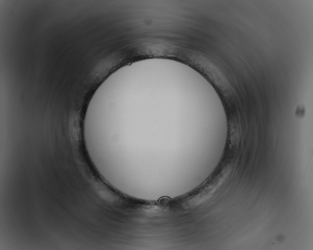 X0000102850453200809021405