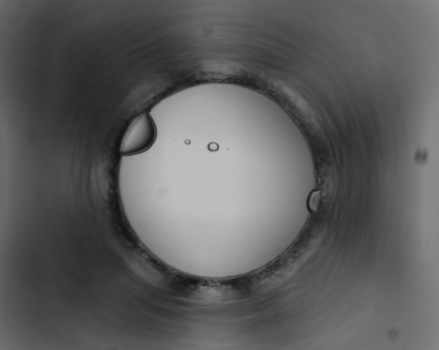 X0000102850455200809021405