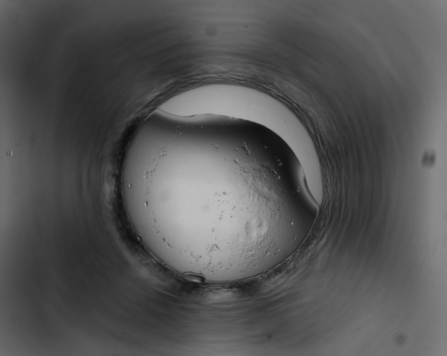 X0000102850456200809021405