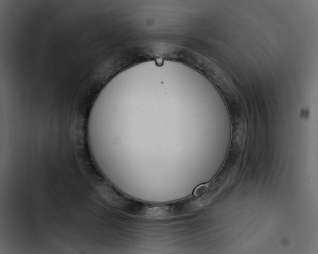 X0000102850461200809021405