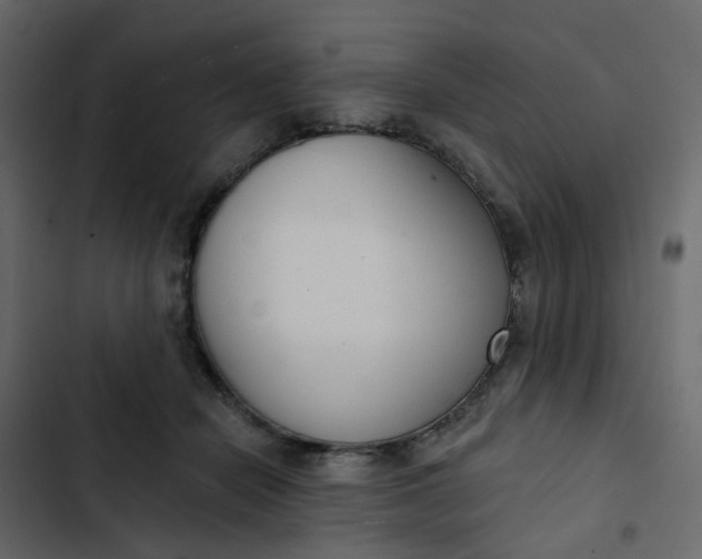 X0000102850462200809021405