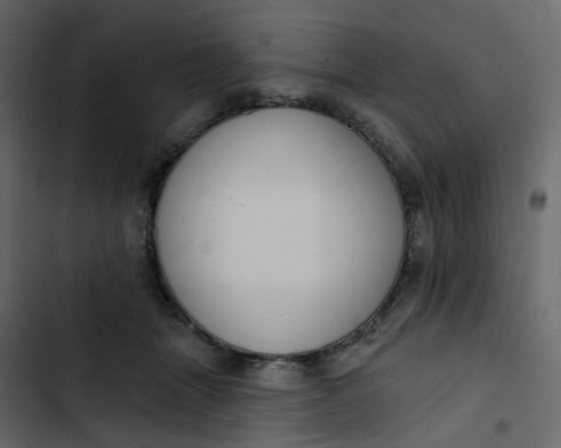 X0000102850463200809021405