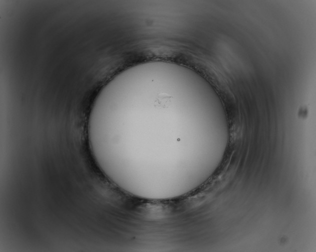 X0000102850464200809021405