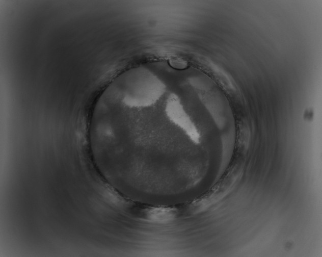 X0000102850465200809021405