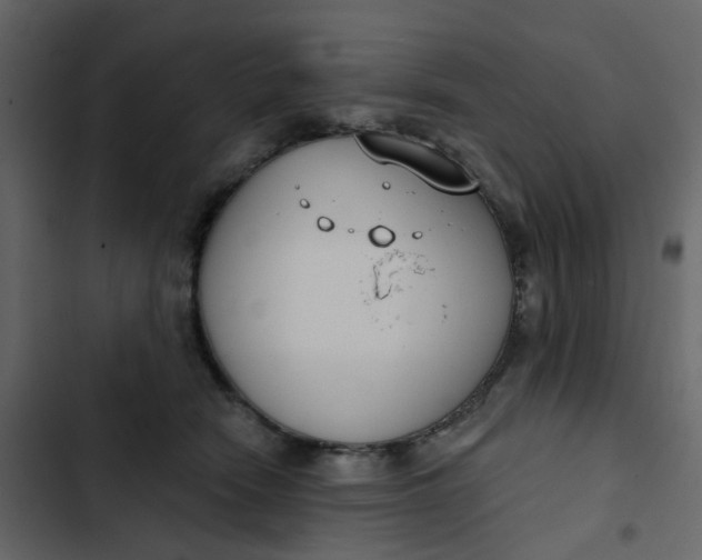 X0000102850466200809021405