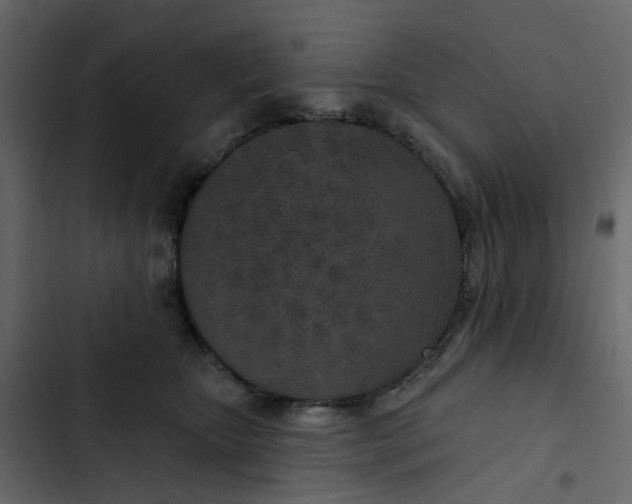 X0000102850467200809021405