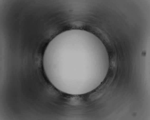 X0000102850468200809021405