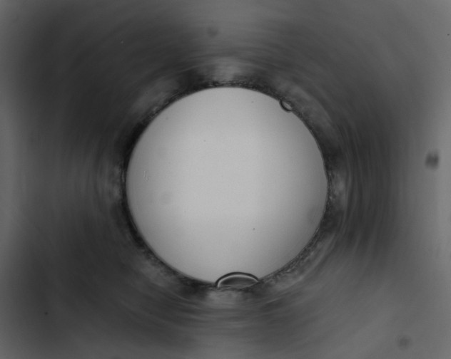 X0000102850470200809021405