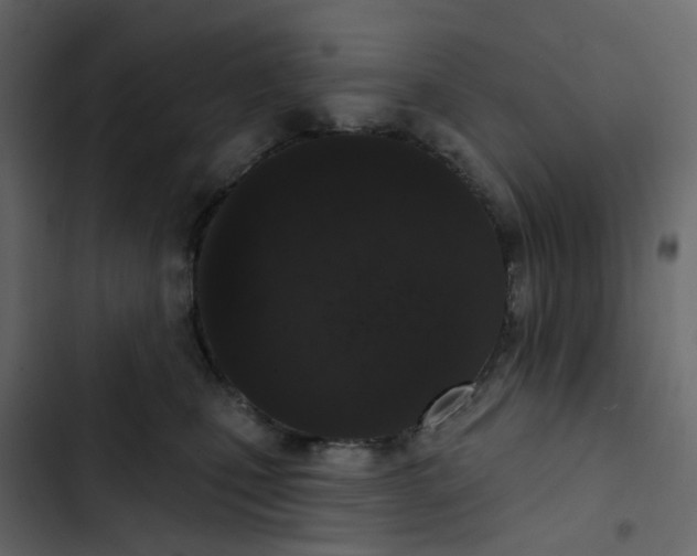 X0000102850471200809021405