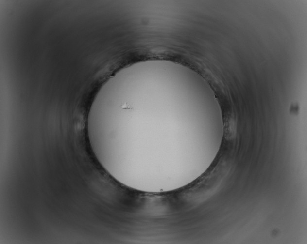 X0000102850472200809021405