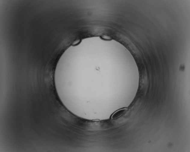 X0000102850473200809021405