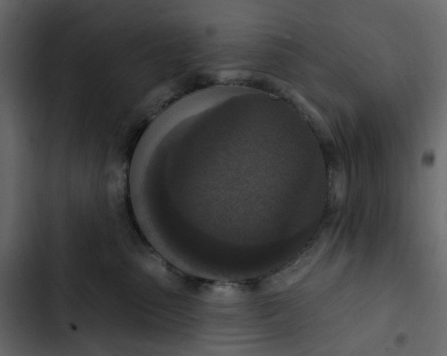 X0000102850475200809021405