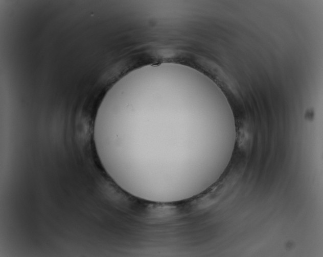 X0000102850476200809021405