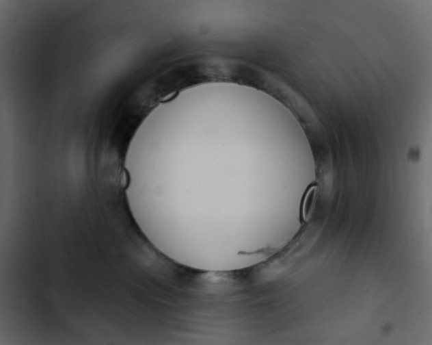 X0000102850477200809021405