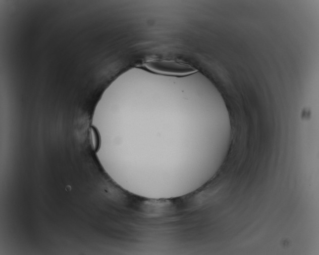 X0000102850480200809021405