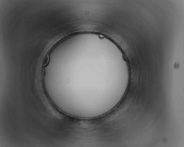 X0000102850481200809021405