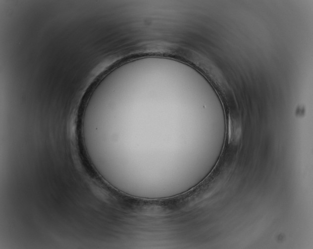 X0000102850483200809021405