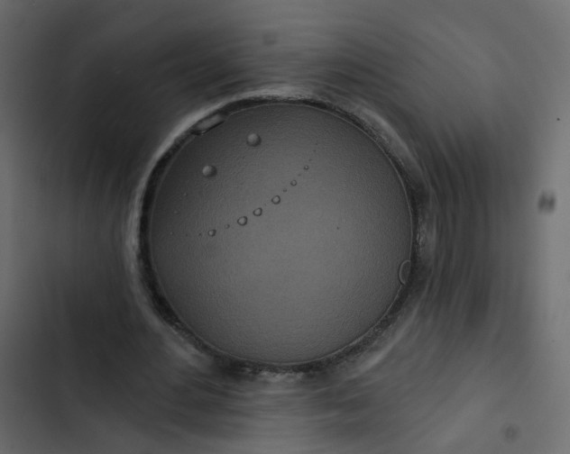 X0000102850484200809021405