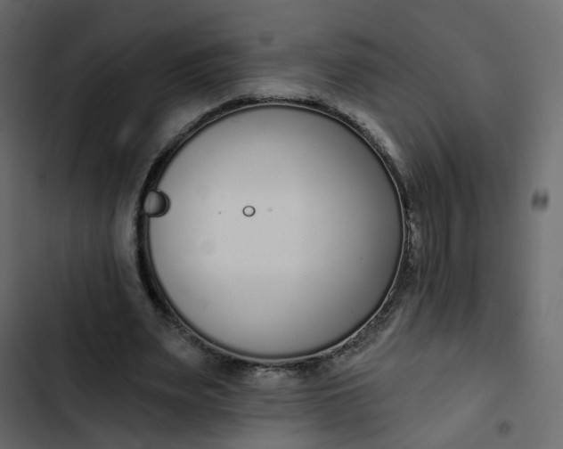 X0000102850487200809021405