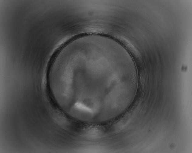 X0000102850488200809021405