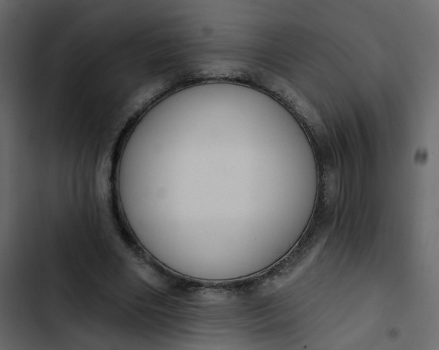 X0000102850490200809021404