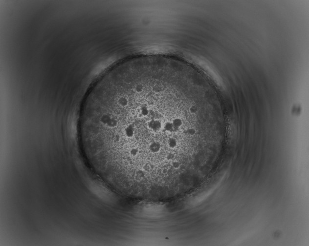 X0000102850491200809021404