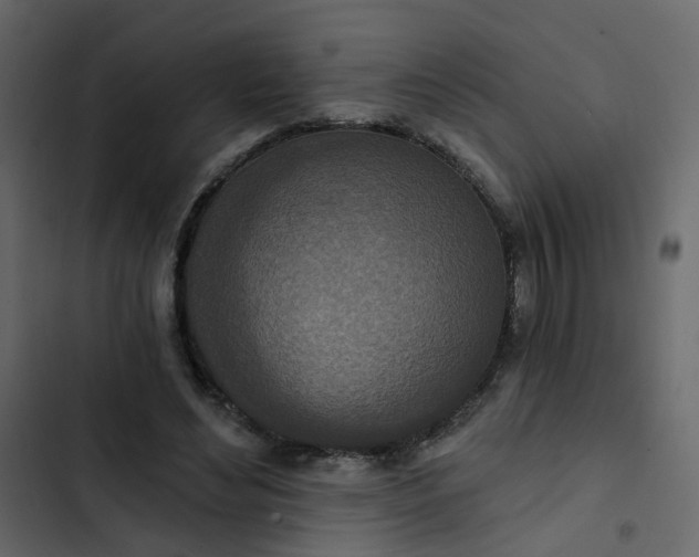 X0000102850492200809021404