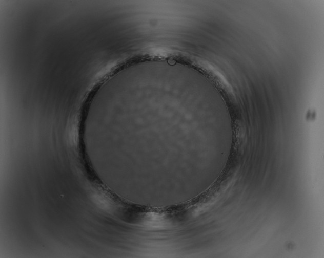 X0000102850496200809021404