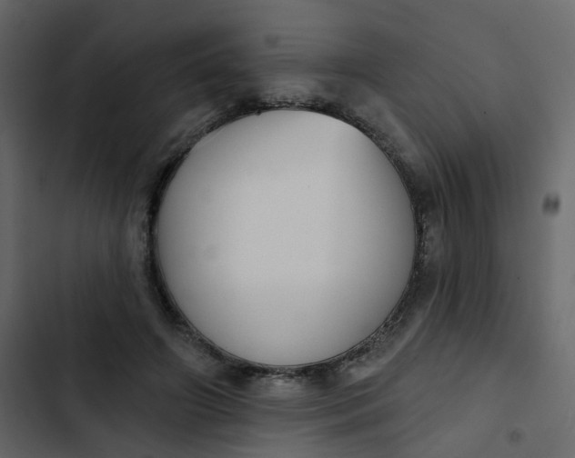 X0000102850498200809021404