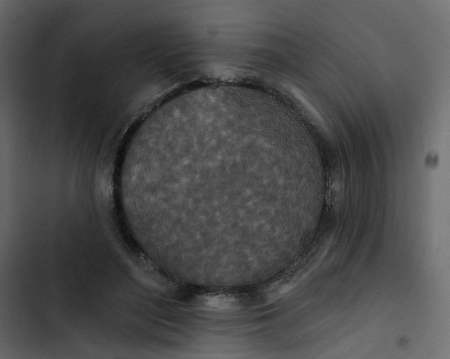 X0000102850500200809021404