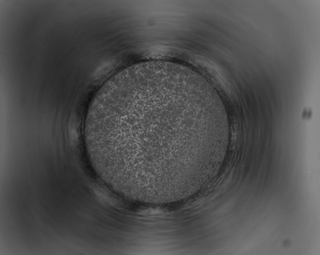 X0000102850503200809021404