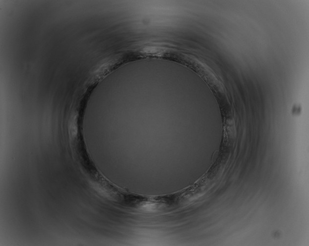 X0000102850504200809021404