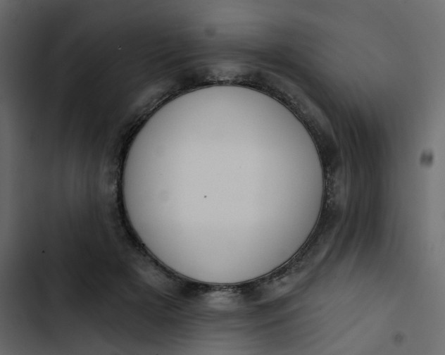 X0000102850505200809021404