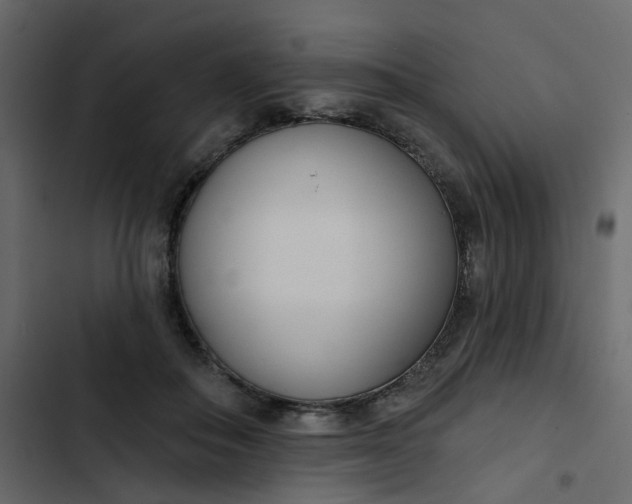 X0000102850506200809021404