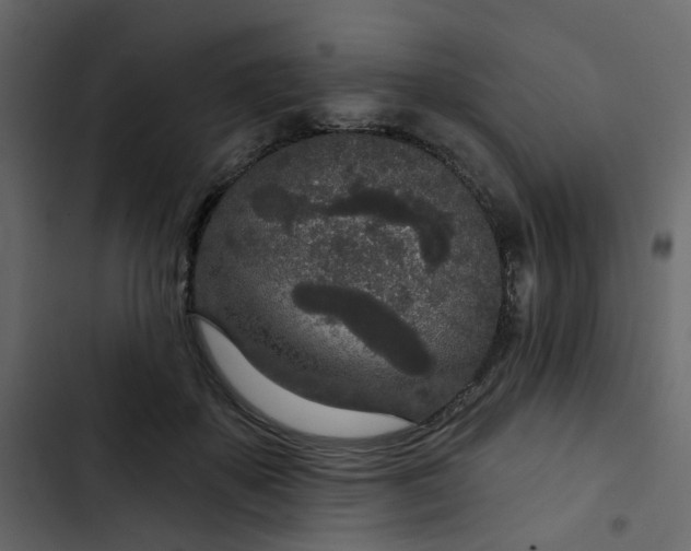 X0000102850507200809021404