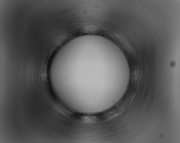 X0000102850508200809021404