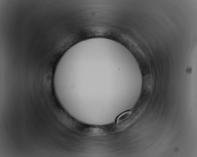 X0000102850509200809021404