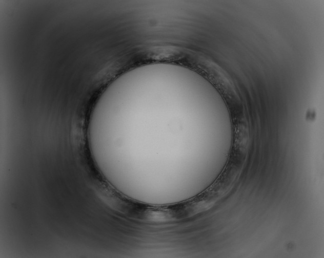 X0000102850510200809021404