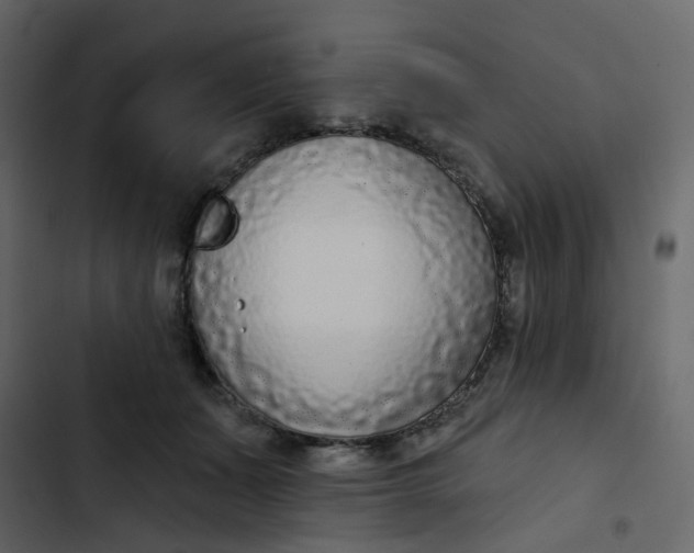 X0000102850511200809021404