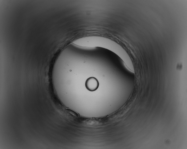 X0000102850512200809021404