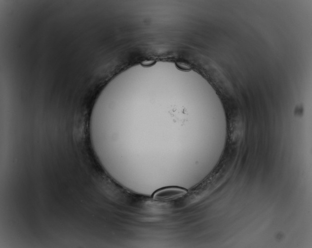 X0000102850515200809021404