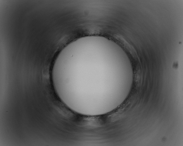 X0000102850516200809021404