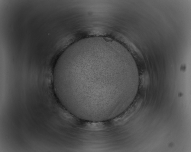 X0000102850517200809021404